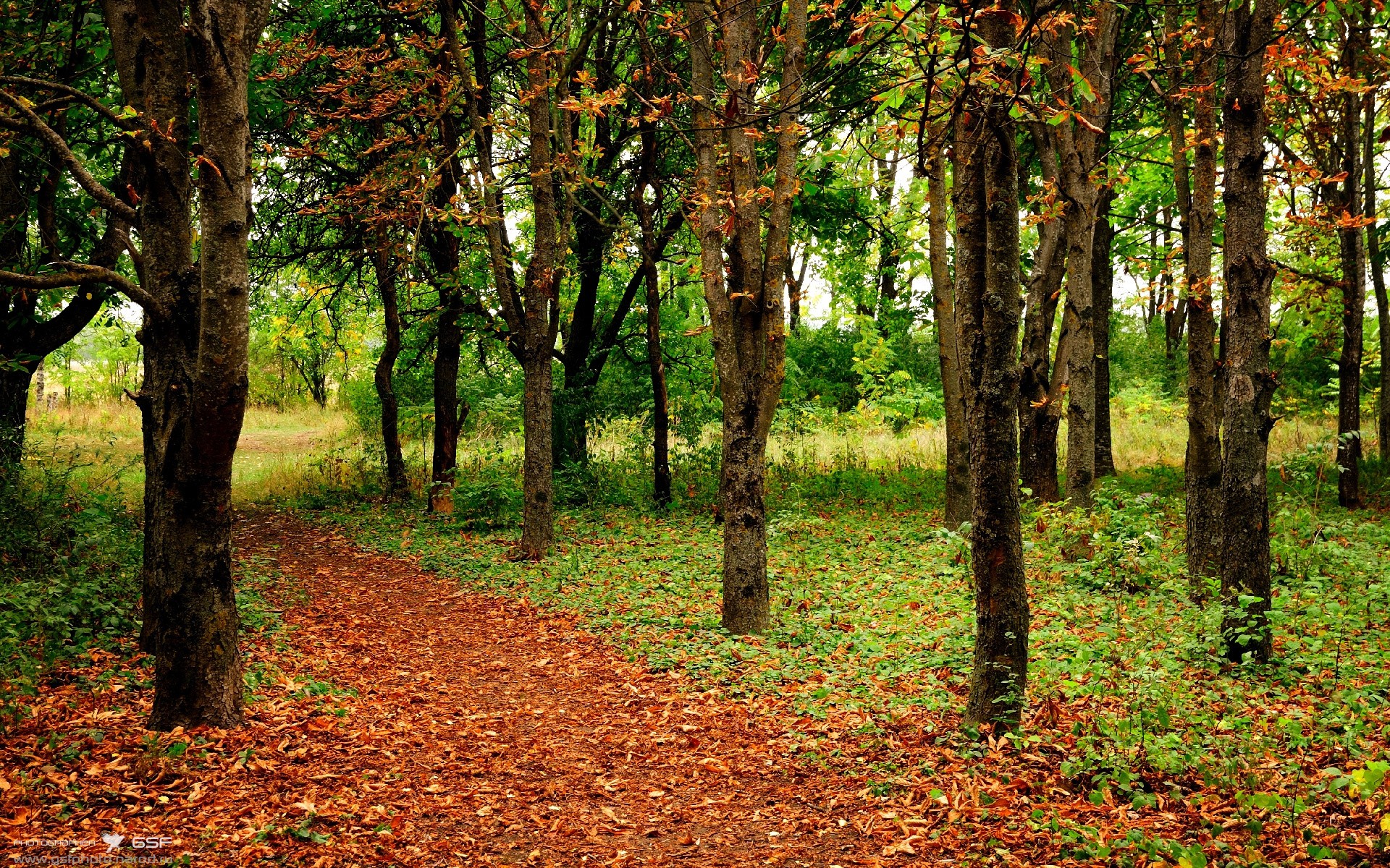 冰与火之歌，马竞铁血提前出线，莱万一剑封喉定江山—欧冠之夜的两种决胜法则